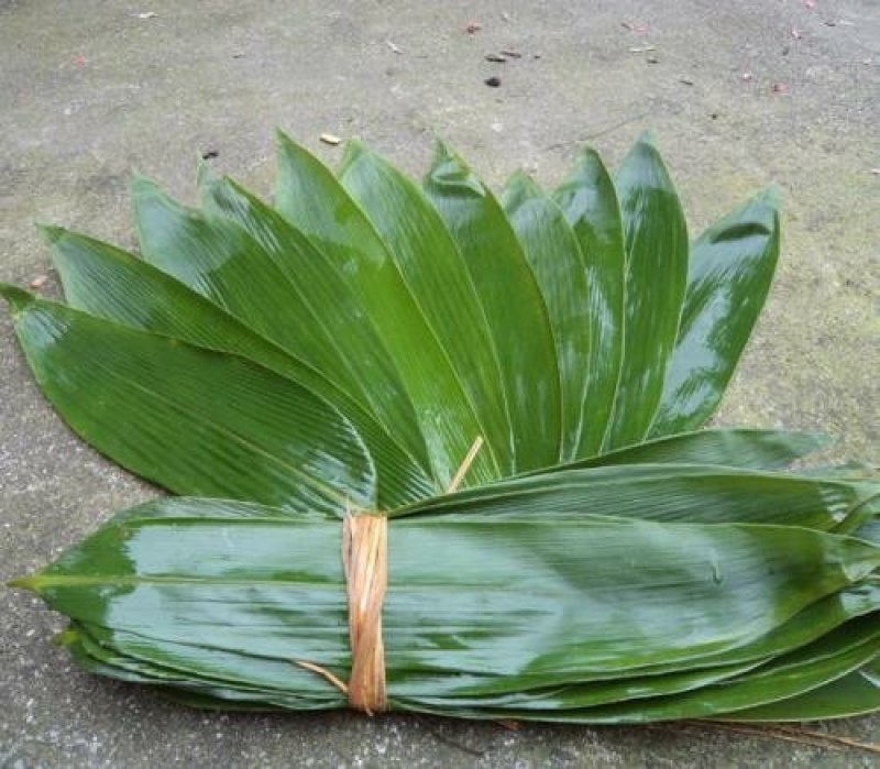 粽子叶粽叶新鲜大粽叶包粽子叶箬叶