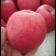 高原🍎
