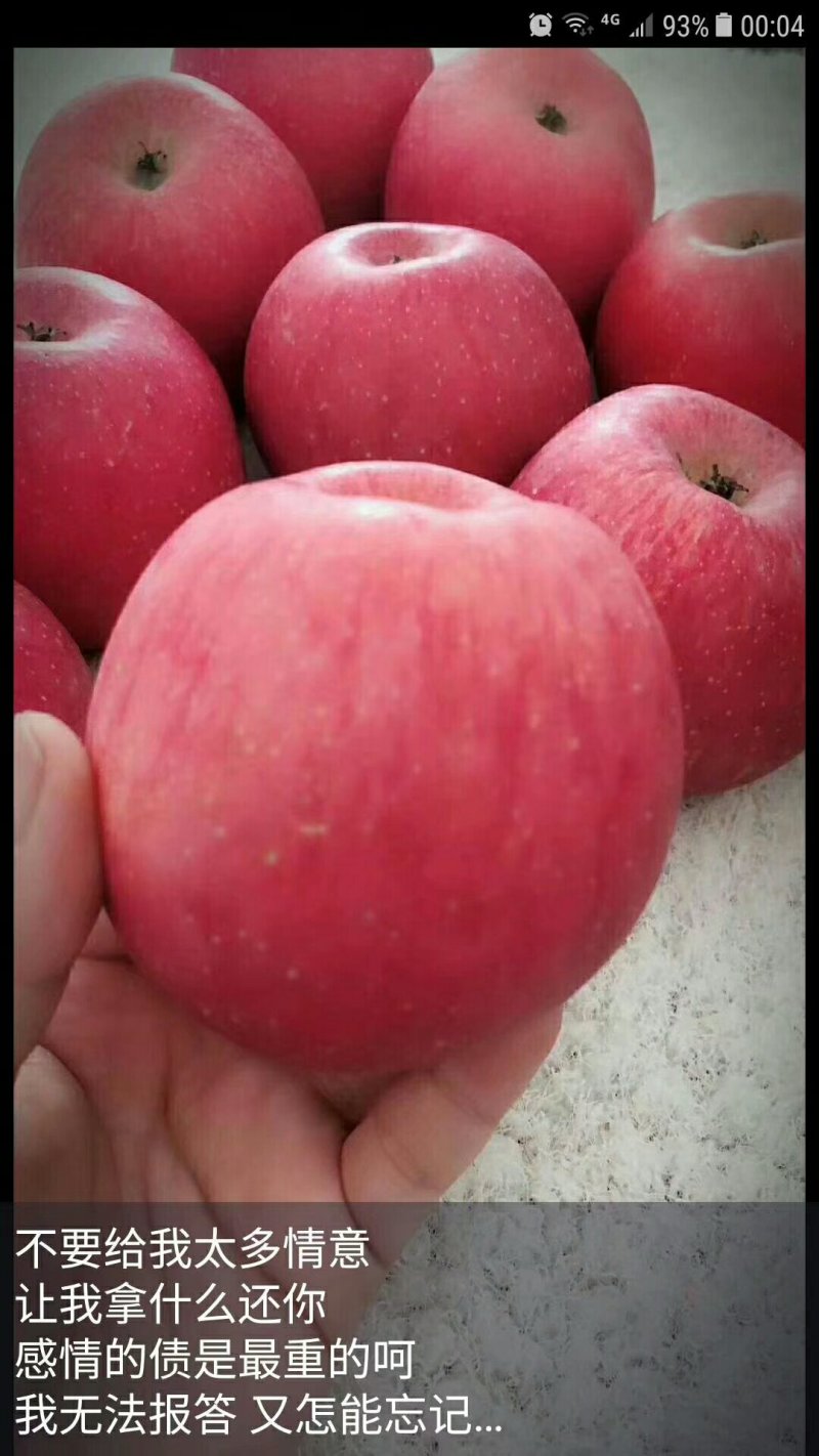 高原🍎