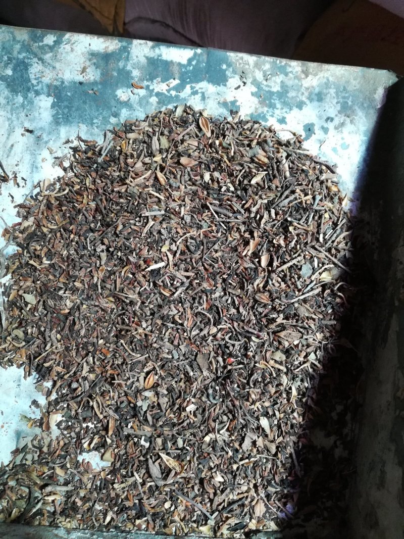 连翘碎渣批发支持代发1000克中药材批发