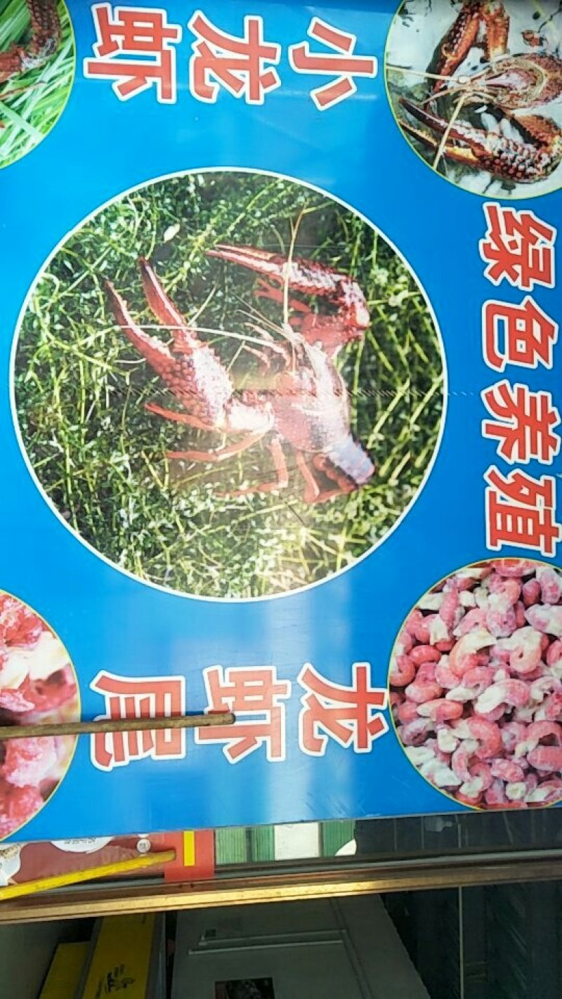 龙虾尾