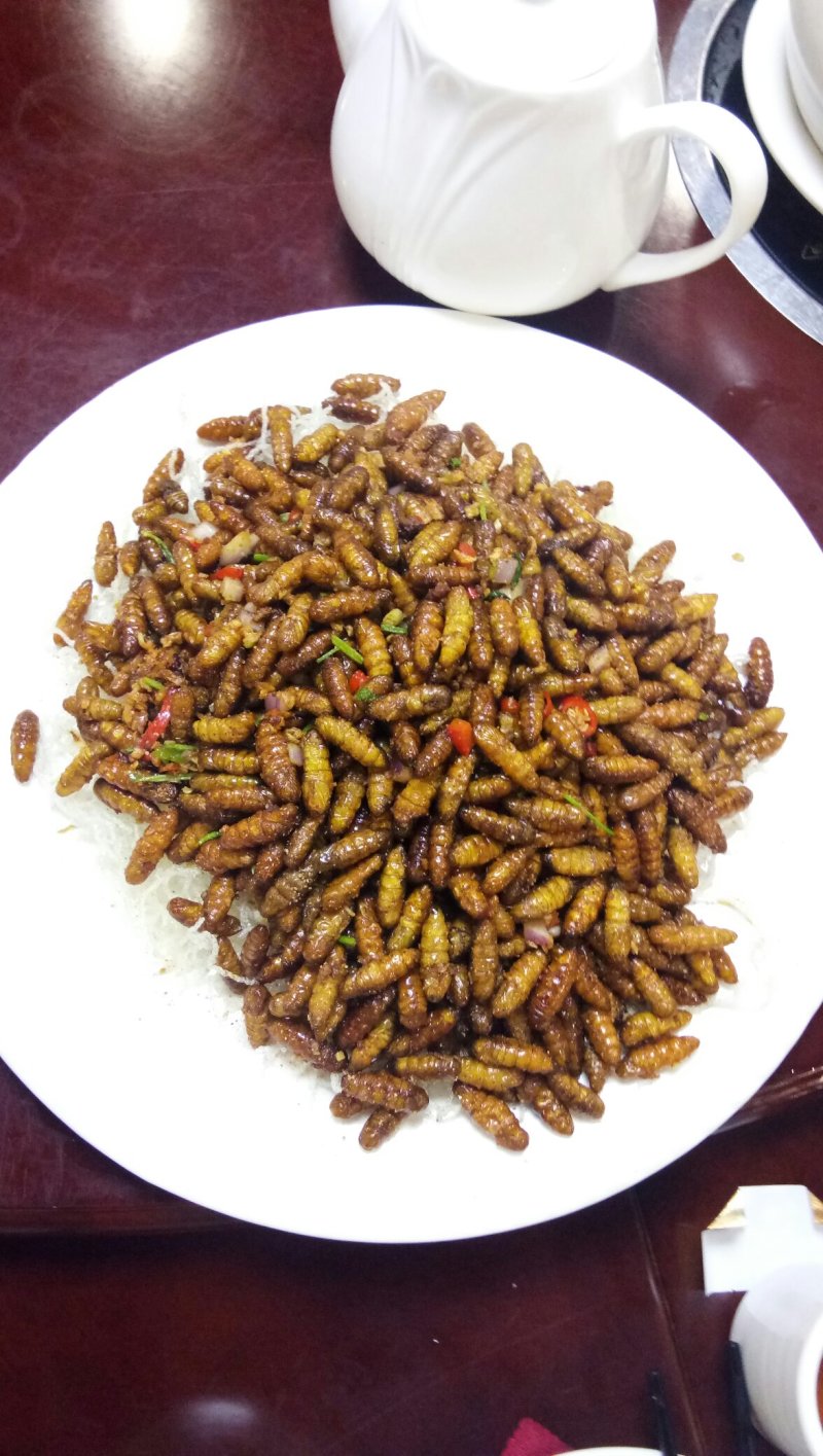 蚕蛹桑蚕厂家直销