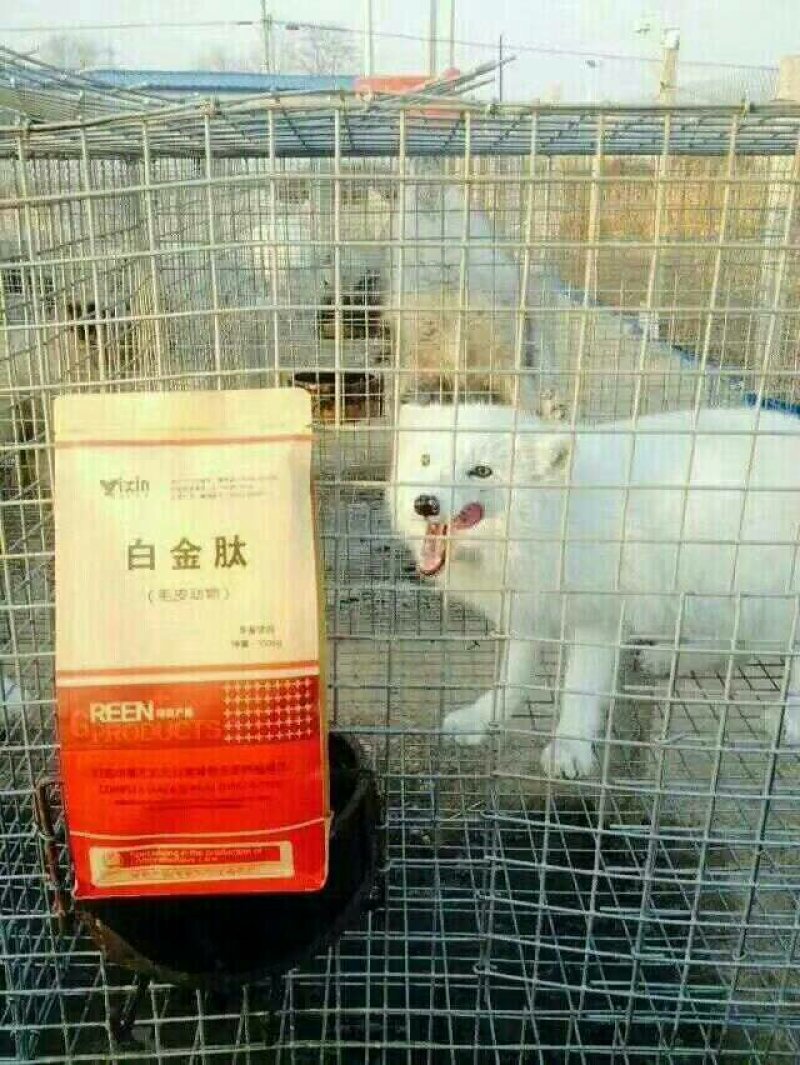 毛皮白金肽：催肥促生长，改善毛皮质量