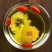 野菊花，无硫，散装