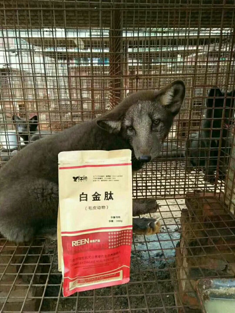 毛皮白金肽