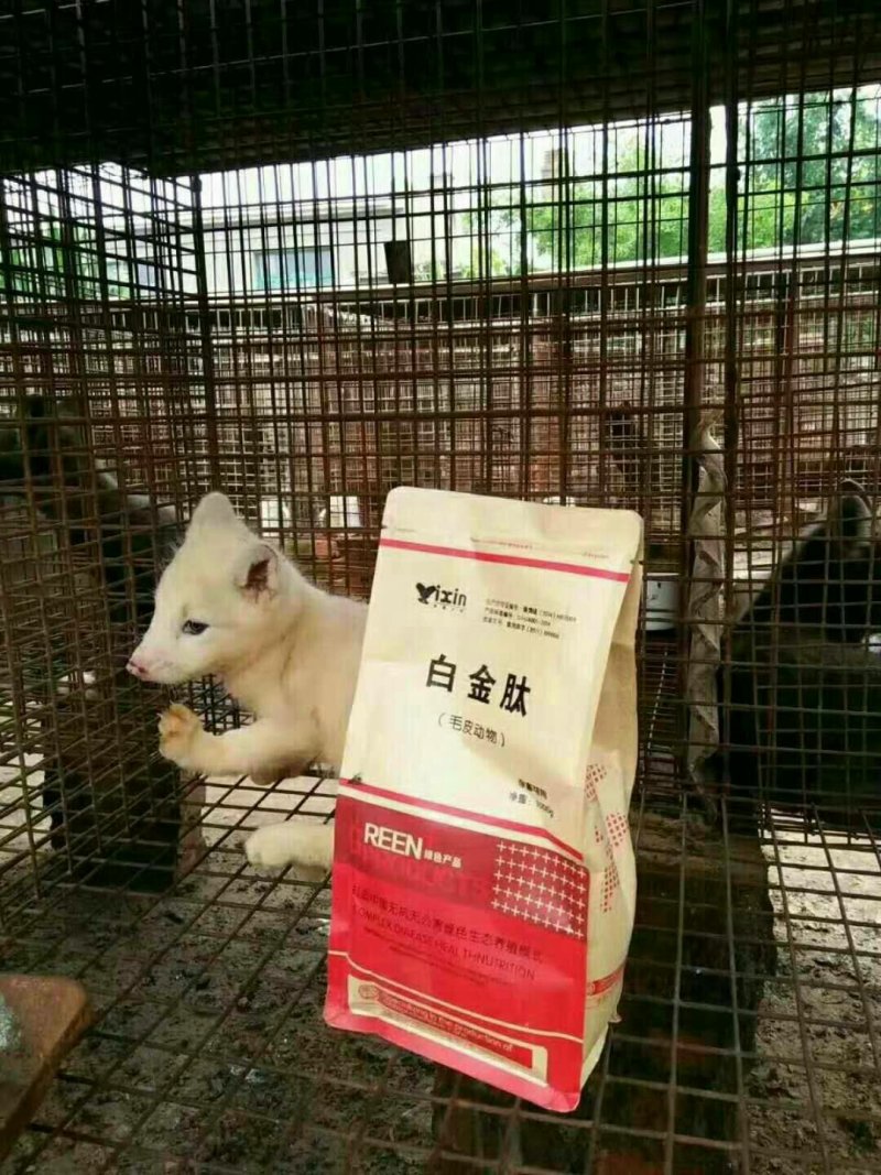 毛皮白金肽