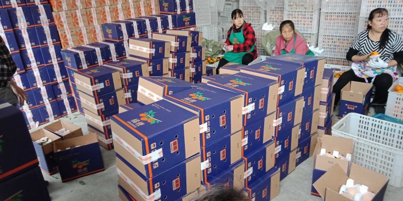 爱媛38号果冻橙五斤中果16个包邮