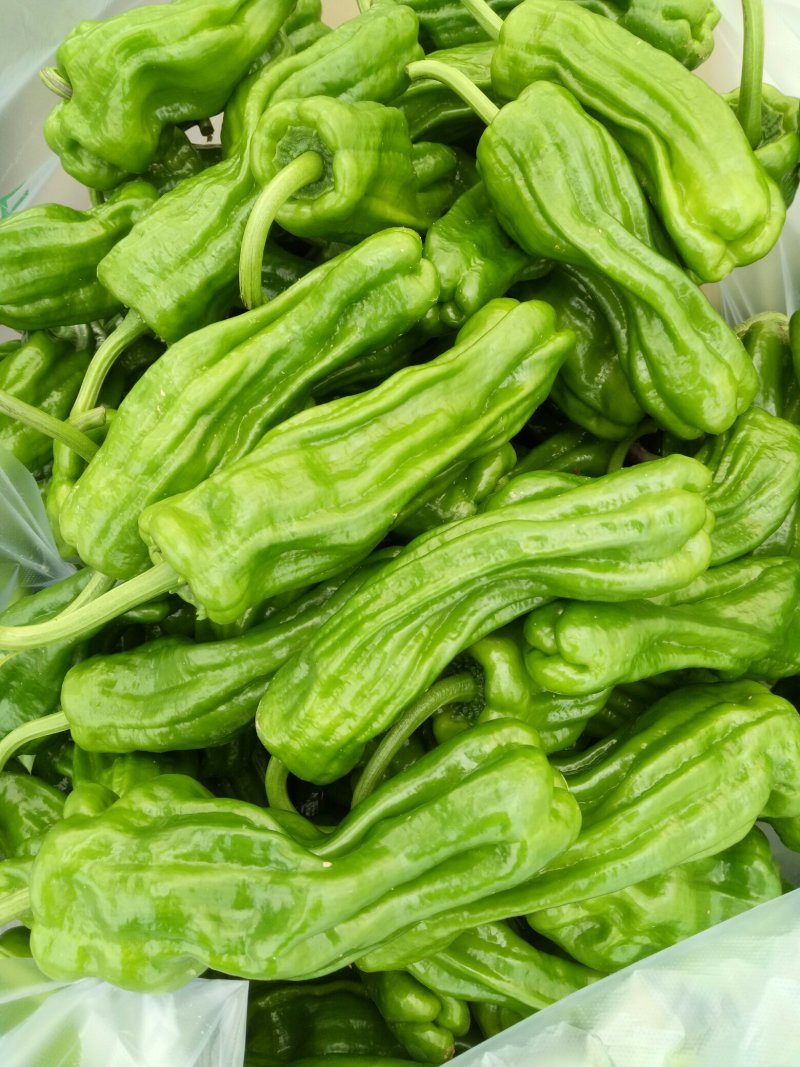 【诚信经营】精品薄皮辣椒，杭椒线椒大量上市大吨位供应市场