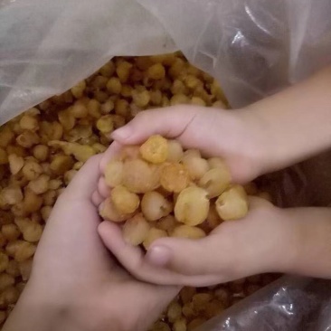 桂圆干，不带壳