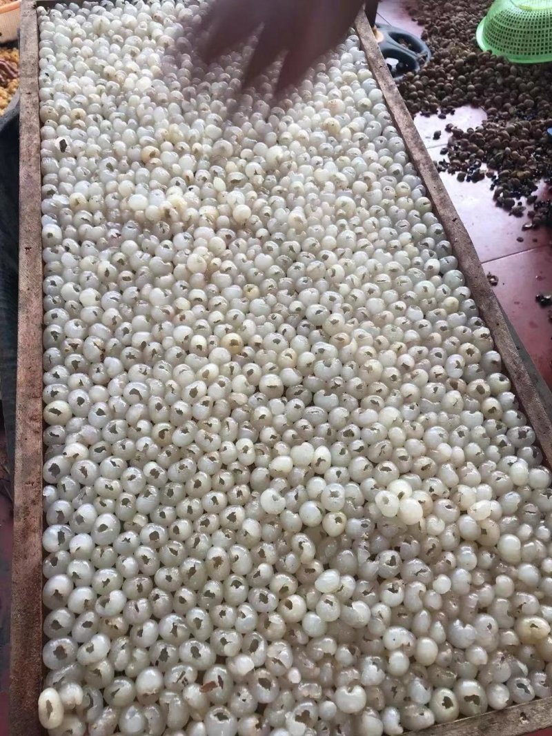 桂圆干，不带壳