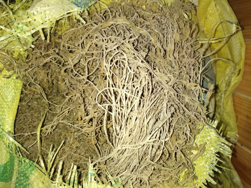 贵州野生无硫中药材垂盆草干货水洗豆瓣菜干品无泥土无杂