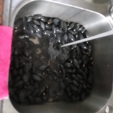 水果