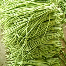长豆角，豇豆，豇豆角。精品豆角