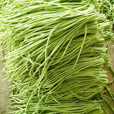 长豆角，豇豆，豇豆角。精品豆角