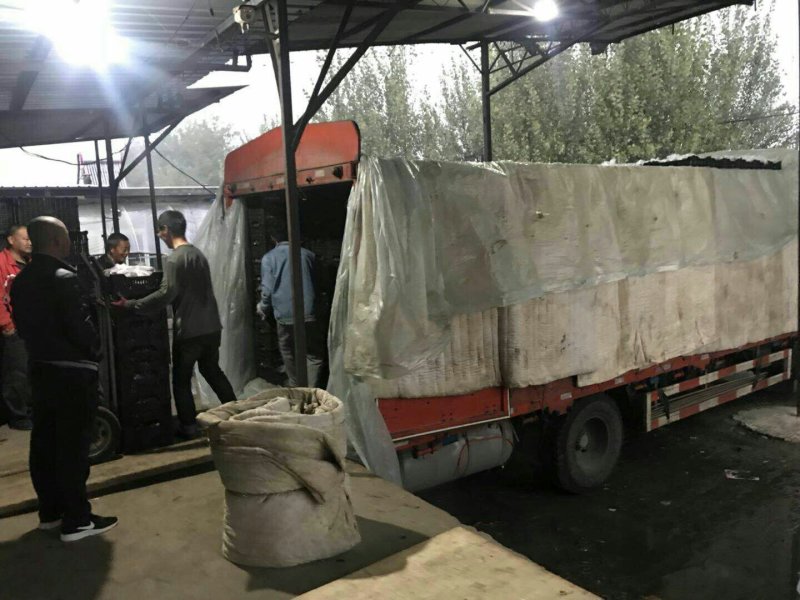 携手助农，纯绿色产品，乐亭冷库飓风葡萄