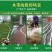 水带1寸一8寸厂家直销高压水带〈1件20米〉，口径1寸半