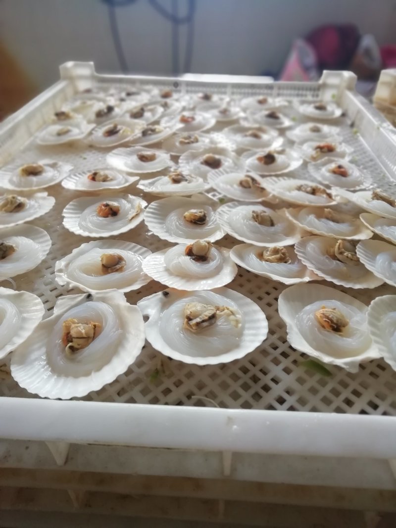 粉丝贝，自家产的，45元一件