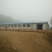 散养土鸡蛋绿壳土鸡蛋草鸡蛋笨鸡蛋(1.4元/枚包邮)
