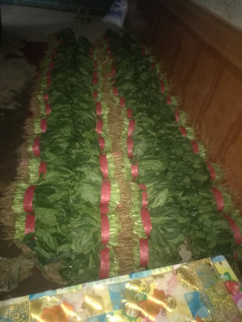 叶菜类
