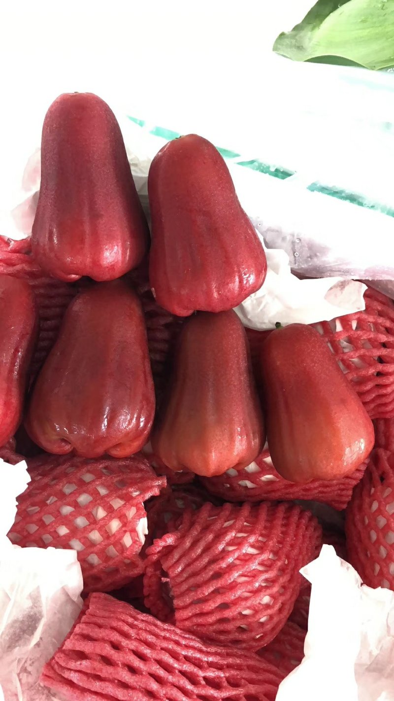莲雾