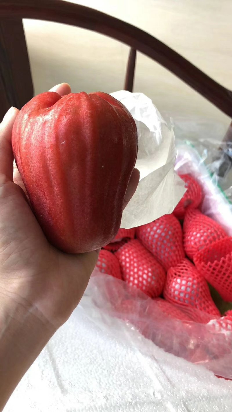莲雾