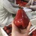 莲雾