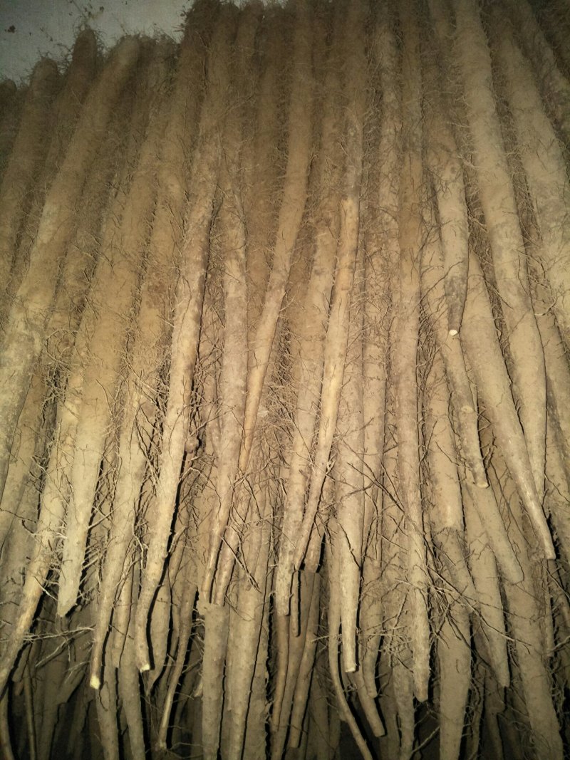 白玉山药大量上市，今天大掉价1.8/2要的老板抓紧行动了