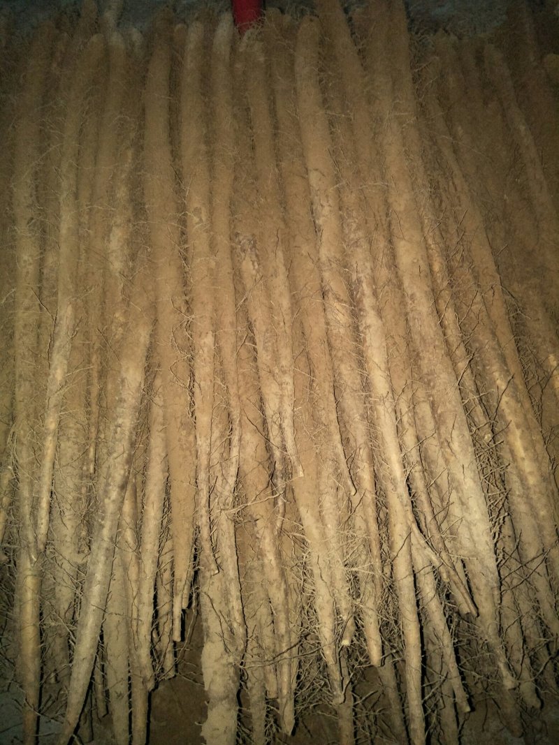 白玉山药大量上市，今天大掉价1.8/2要的老板抓紧行动了