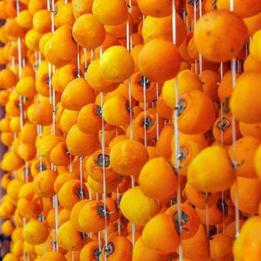 油性柿子可以做柿饼得