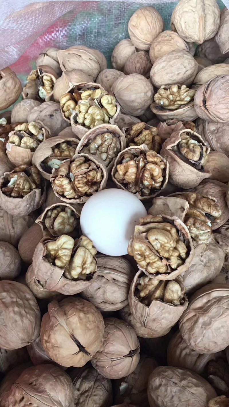 新疆薄皮核桃