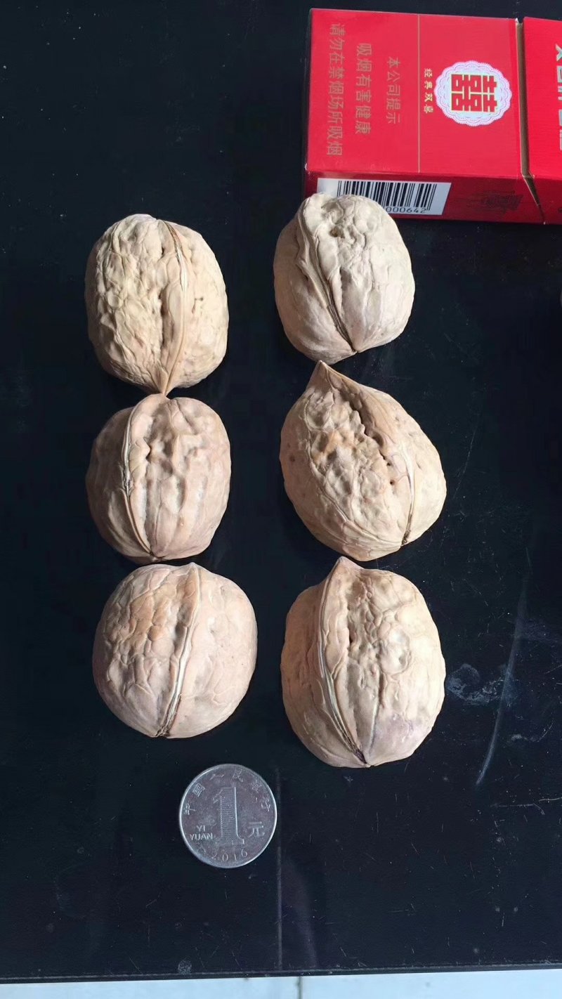 新疆薄皮核桃