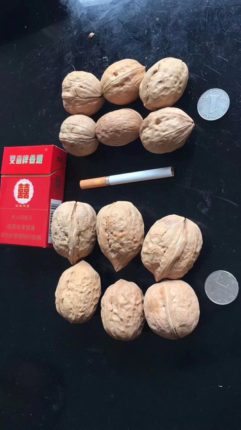 新疆薄皮核桃