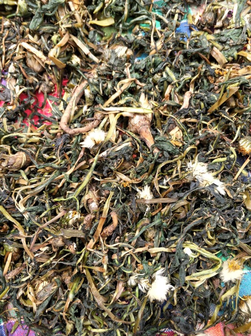 野生蒲公英茶
