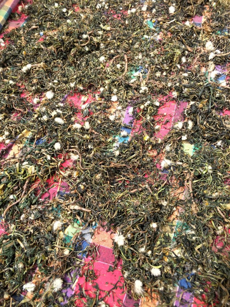 野生蒲公英茶