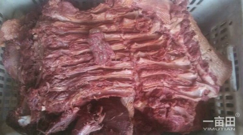 百年驴肉传承技术