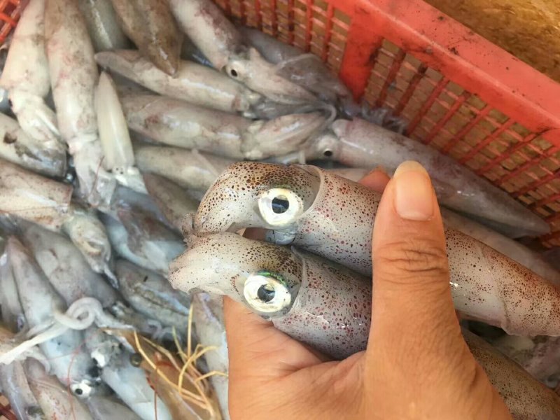 水产干货