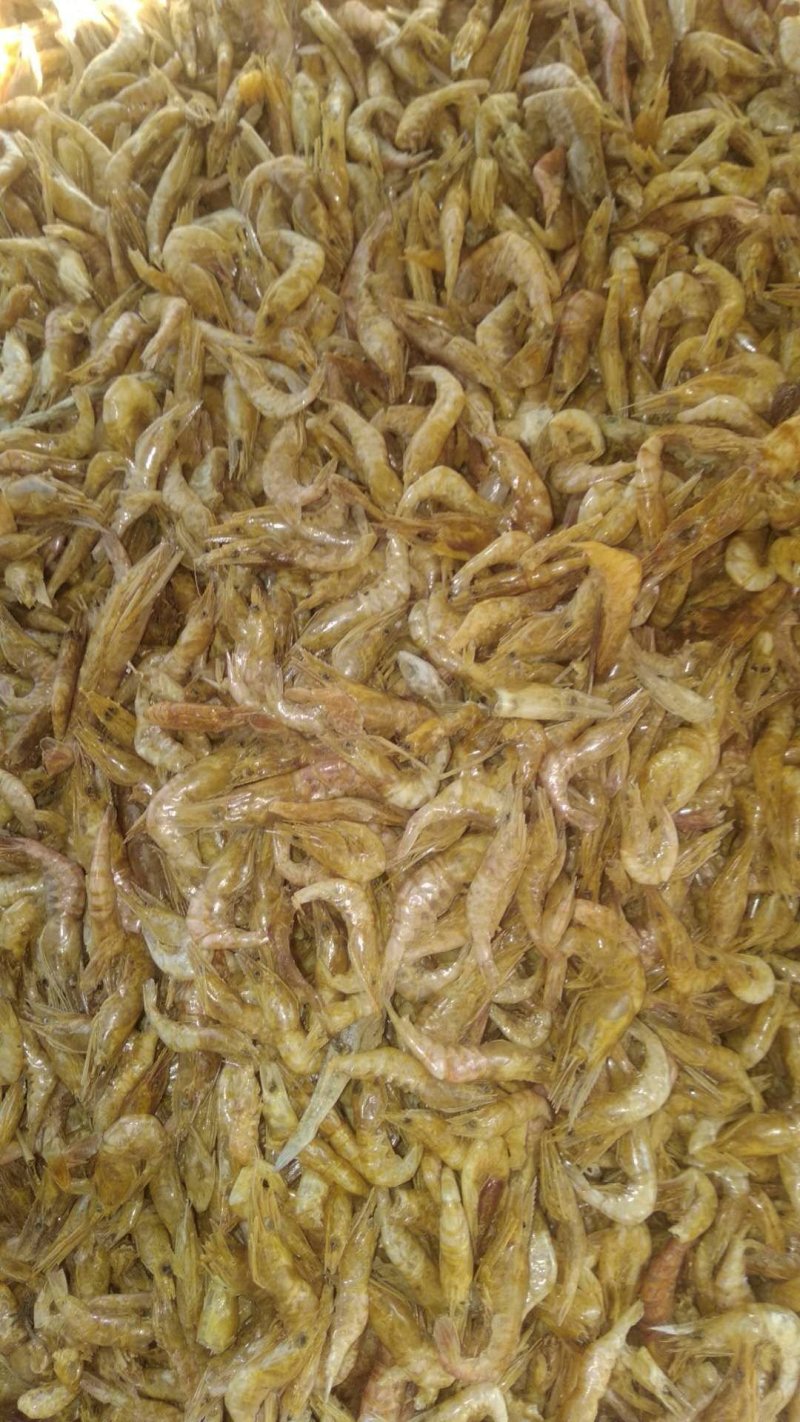 地地道道的微山特产，红虾，毛头虾