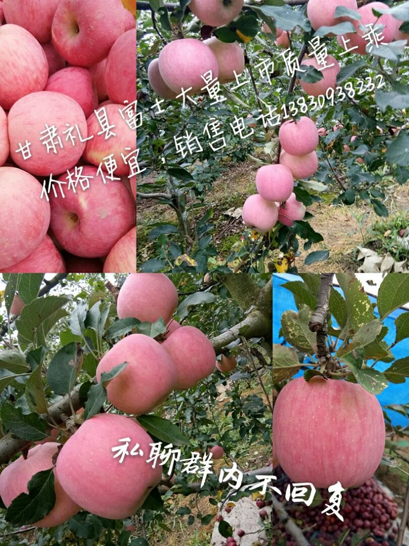 优质纸袋红富士色艳味甜口感脆爽诱人味蕾。