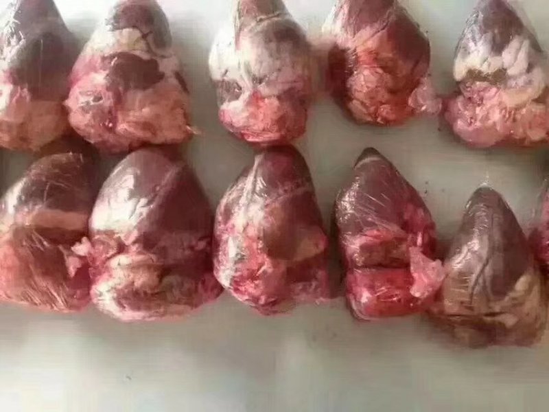 鹿心粉成年壮鹿鹿心3瓶包邮鹿心粉170g正品鹿乡