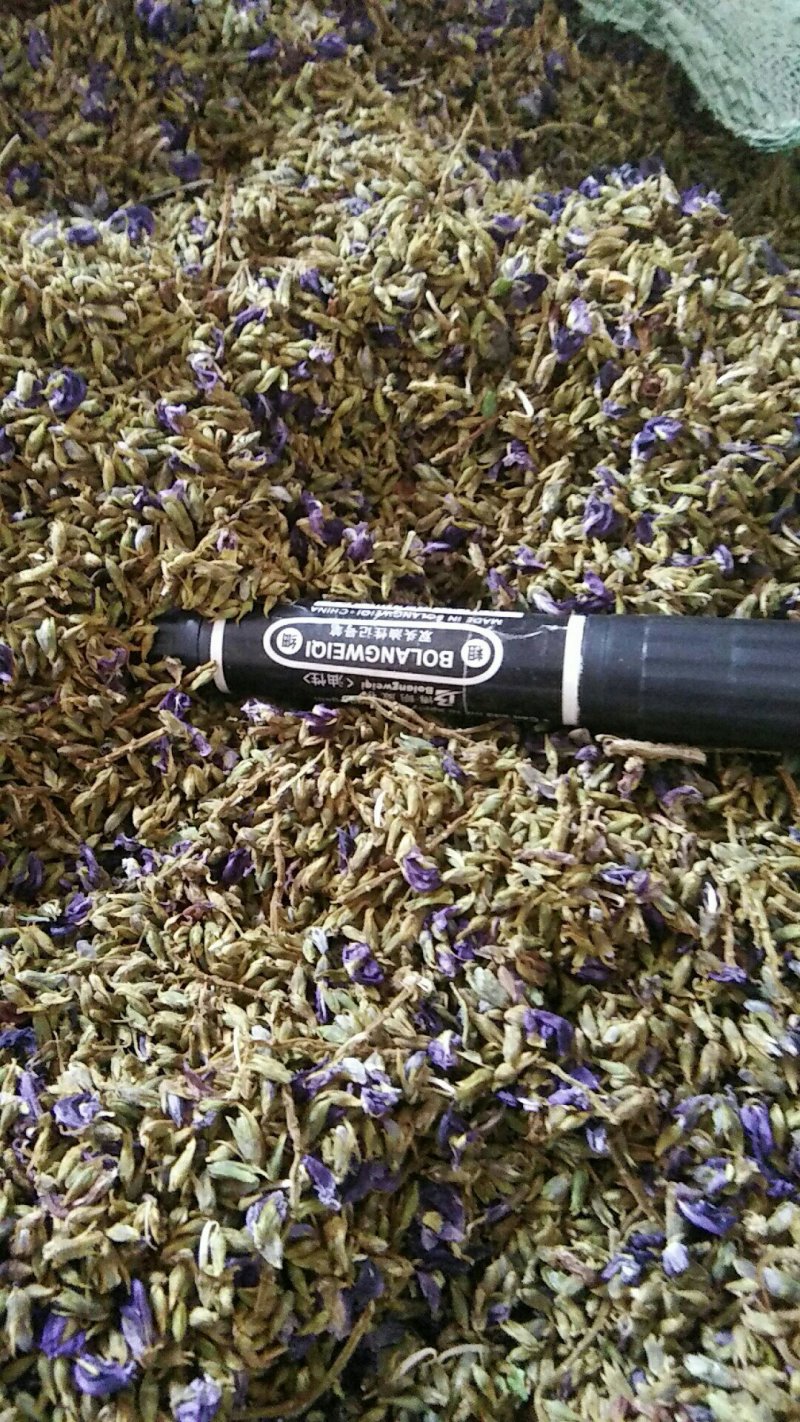 野生葛花/葛花/小葛花/大葛花/广西葛花/产地直销小葛花