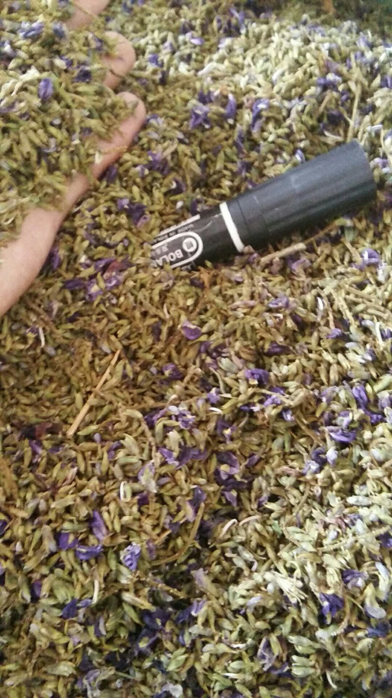 野生葛花/葛花/小葛花/大葛花/广西葛花/产地直销小葛花