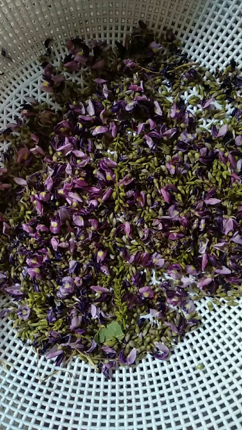 野生葛花/葛花/小葛花/大葛花/广西葛花/产地直销小葛花