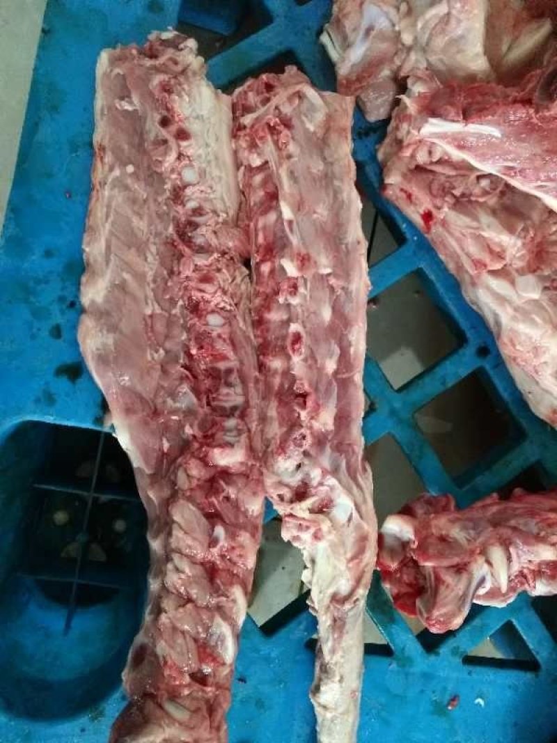 小牛后腿肉，带骨后腿，脊骨，脖骨，牛排，
