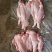 冻牛肉冷冻，后腿肉，前腿肉，脖骨，脊骨