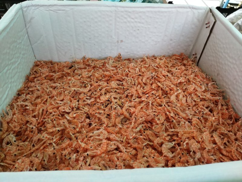 虾皮、新鲜高钙虾皮、大个海虾