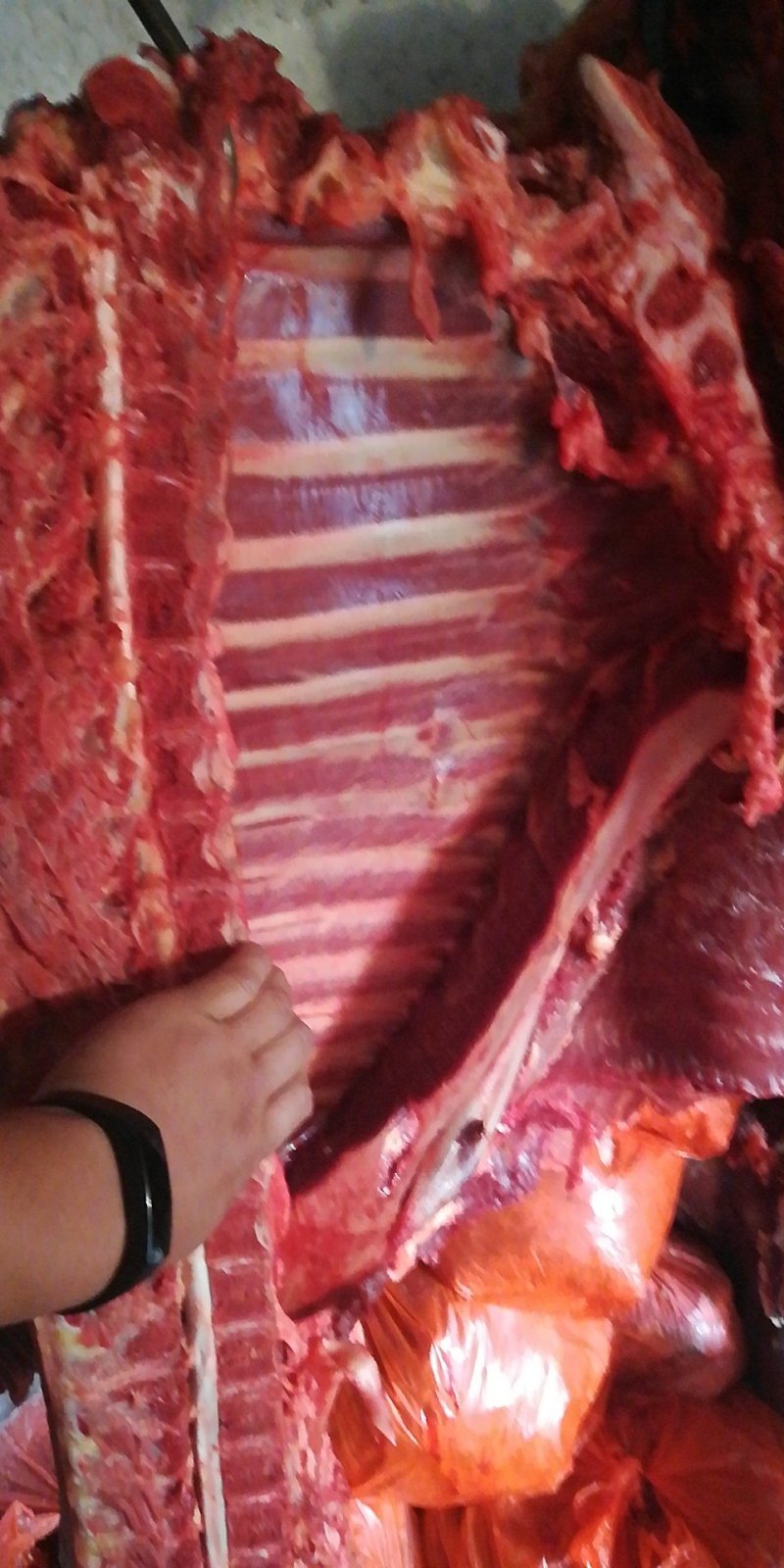 驴肉批发驴肉带皮驴肉山东驴肉
