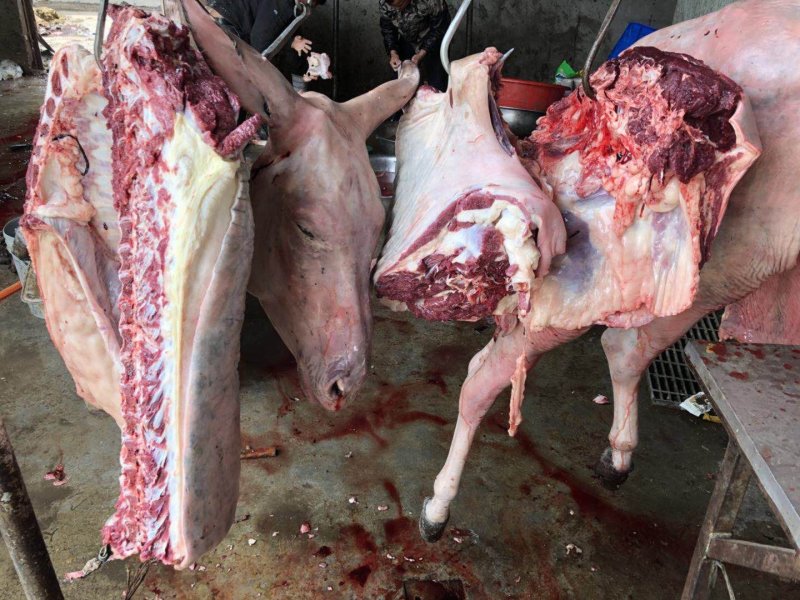驴肉批发驴肉带皮驴肉山东驴肉