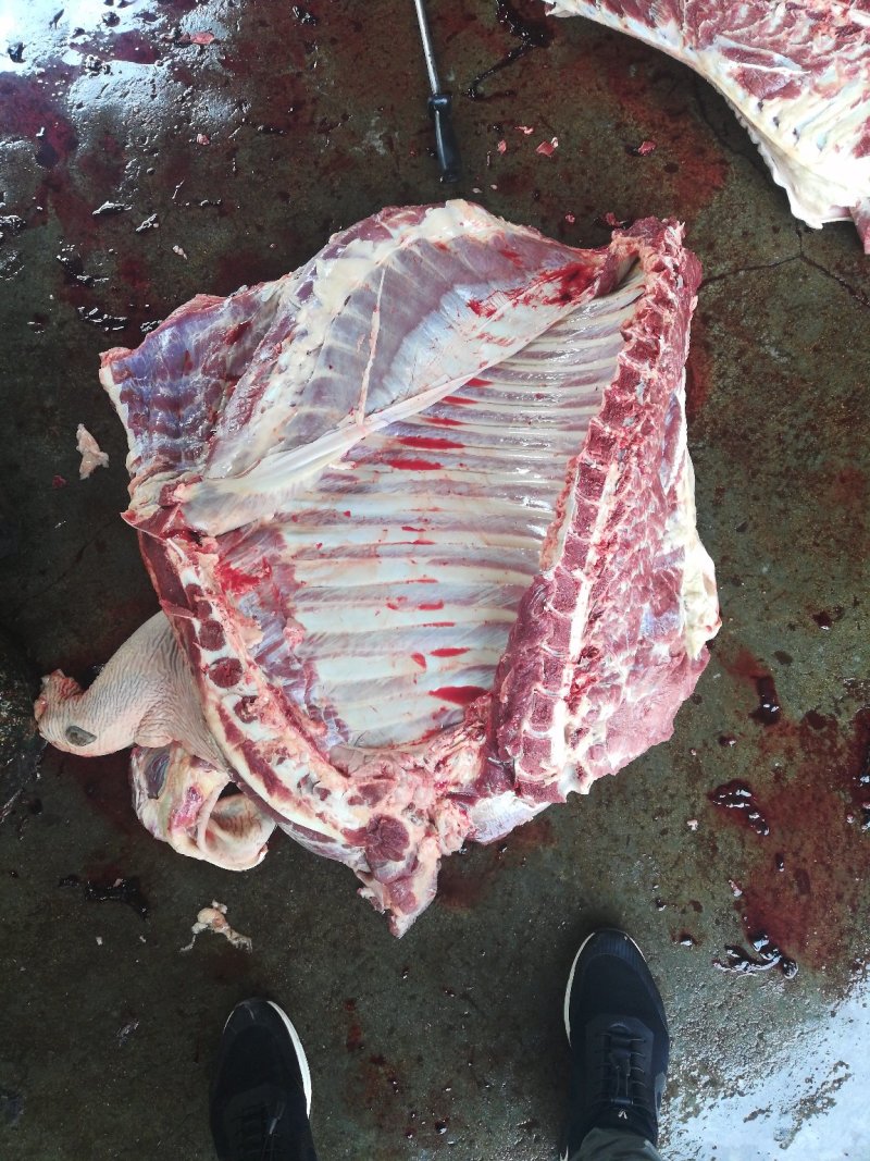 驴肉批发驴肉带皮驴肉山东驴肉