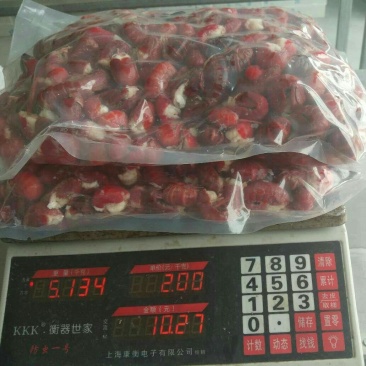 单冻虾尾，特级虾尾