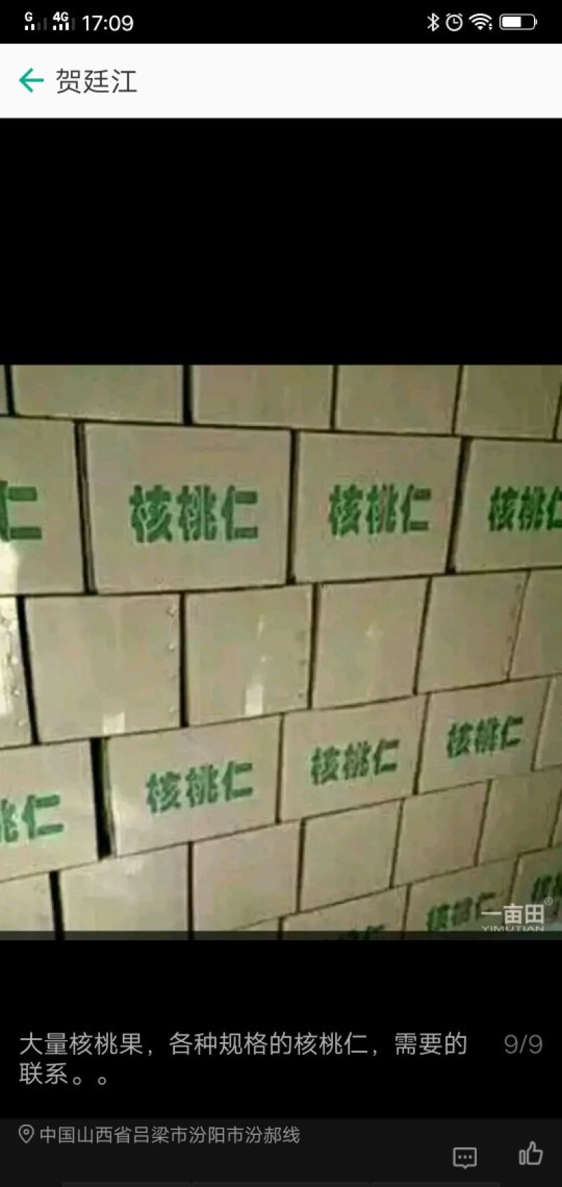 尖白核桃仁